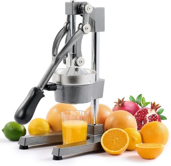 Exprimidor De Jugo Industrial Gris