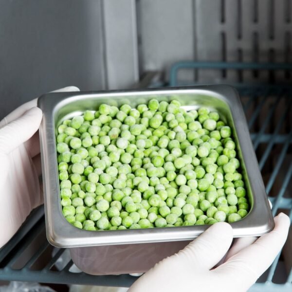 Bandeja Gastronorm Gn 1/6 - Imagen 5